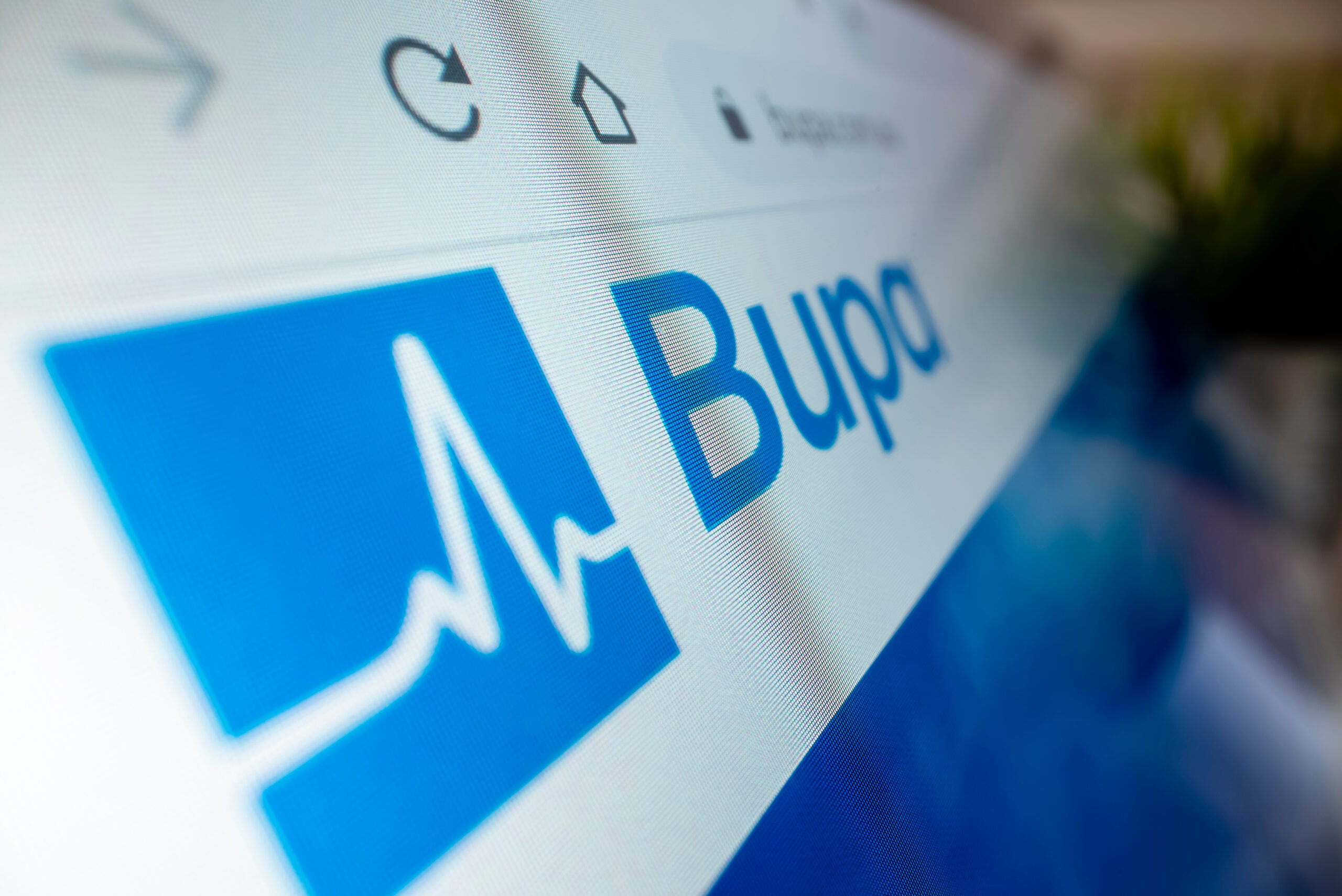 View of Bupa logo on its website, shot with macro probe lens display at Chomp Dental